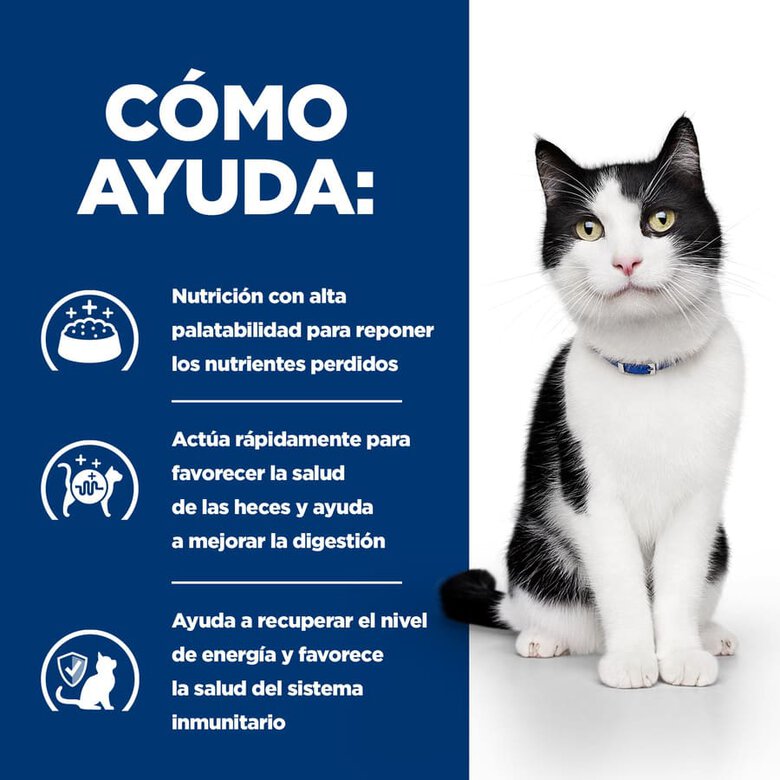 Hill's Prescription Diet Digestive Care Frango lata para gatos, , large image number null